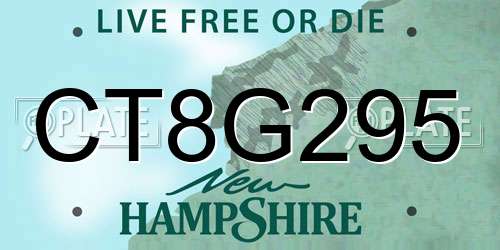 CT8G295 New Hampshire License Plate