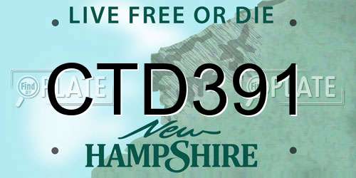 CTD391 New Hampshire License Plate
