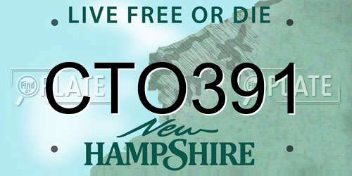 CTO391 New Hampshire License Plate