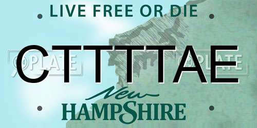 CTTTTAE New Hampshire License Plate