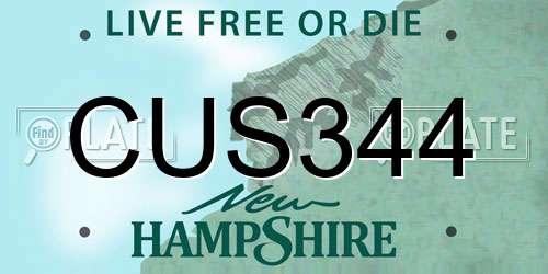 CUS344 New Hampshire License Plate