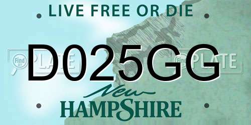 D025GG New Hampshire License Plate