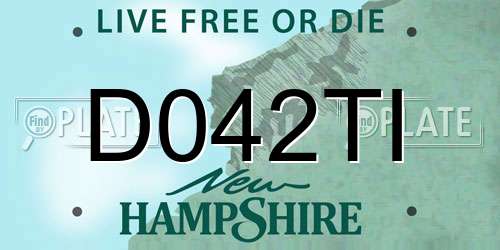 D042TI New Hampshire License Plate