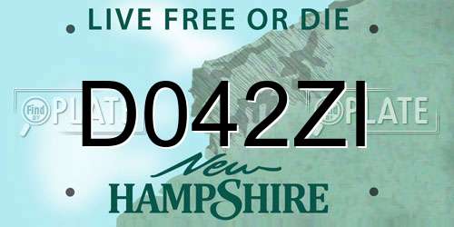 D042ZI New Hampshire License Plate