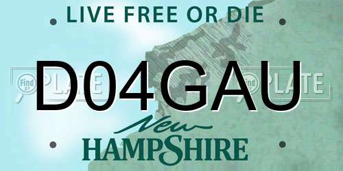 D04GAU New Hampshire License Plate