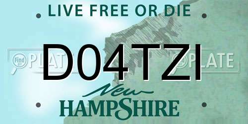 D04TZI New Hampshire License Plate