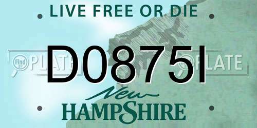 D0875I New Hampshire License Plate
