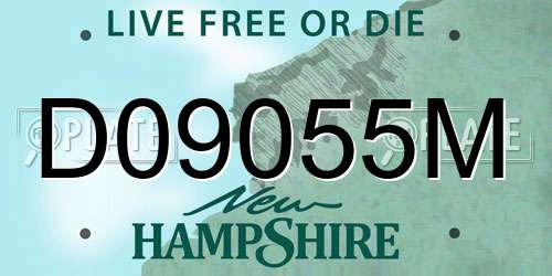 D09055M New Hampshire License Plate
