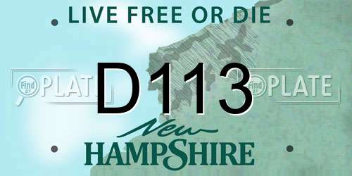 D113 New Hampshire License Plate