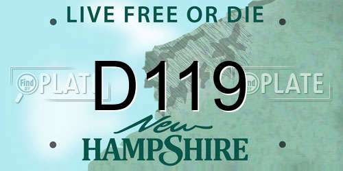 D119 New Hampshire License Plate
