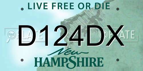 D124DX New Hampshire License Plate