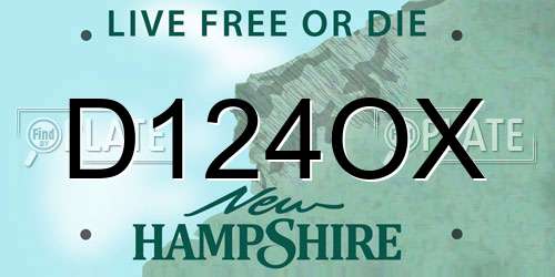 D124OX New Hampshire License Plate