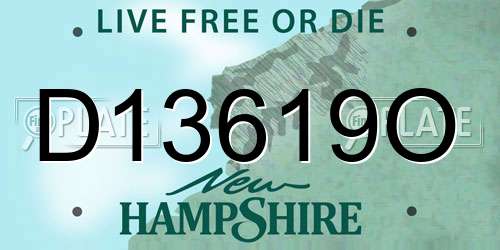 D13619O New Hampshire License Plate