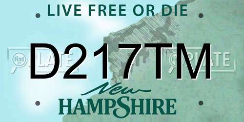 D217TM New Hampshire License Plate