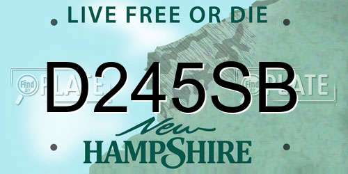 D245SB New Hampshire License Plate