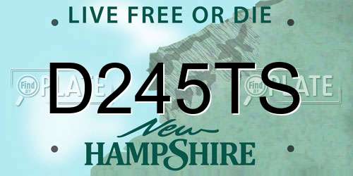 D245TS New Hampshire License Plate