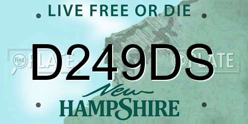 D249DS New Hampshire License Plate