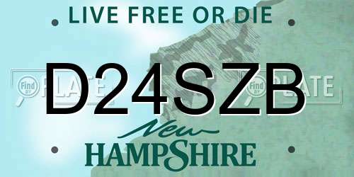 D24SZB New Hampshire License Plate