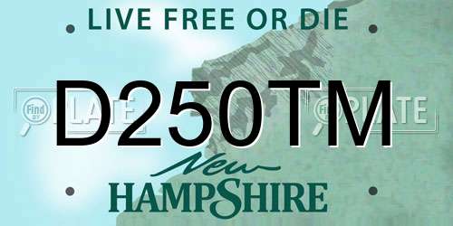 D250TM New Hampshire License Plate