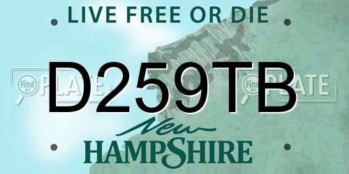 D259TB New Hampshire License Plate