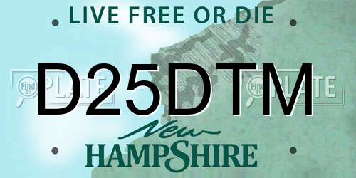 D25DTM New Hampshire License Plate