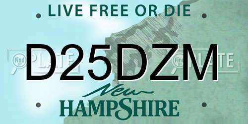D25DZM New Hampshire License Plate