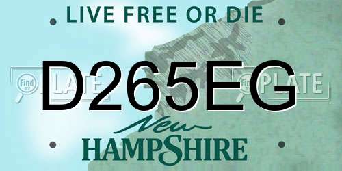 D265EG New Hampshire License Plate