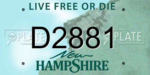 D2881 New Hampshire License Plate
