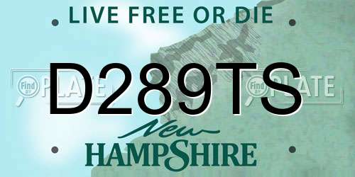 D289TS New Hampshire License Plate