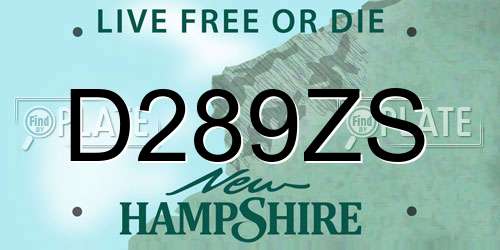 D289ZS New Hampshire License Plate