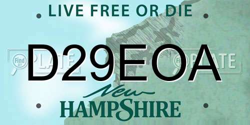 D29EOA New Hampshire License Plate