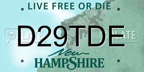 D29TDE New Hampshire License Plate