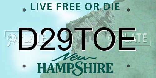 D29TOE New Hampshire License Plate