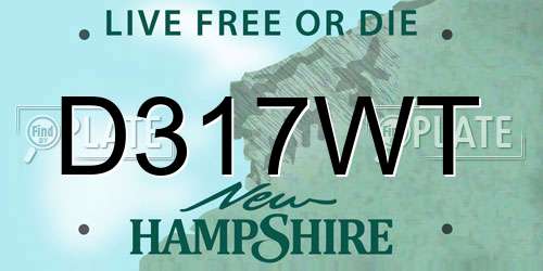 D317WT New Hampshire License Plate
