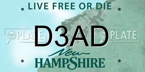 D3AD New Hampshire License Plate