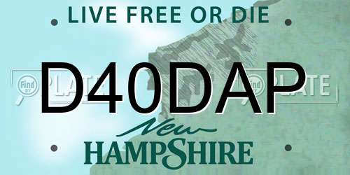 D40DAP New Hampshire License Plate
