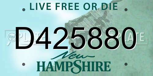 D425880 New Hampshire License Plate