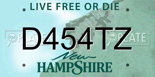 D454TZ New Hampshire License Plate
