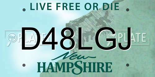 D48LGJ New Hampshire License Plate