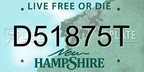 D51875T New Hampshire License Plate