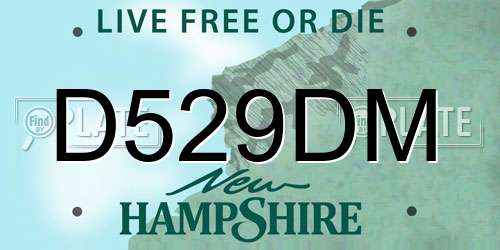 D529DM New Hampshire License Plate