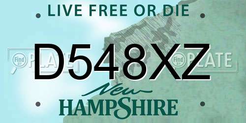 D548XZ New Hampshire License Plate