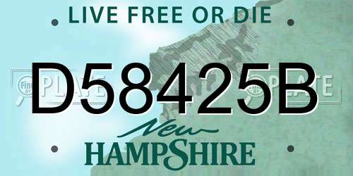 D58425B New Hampshire License Plate