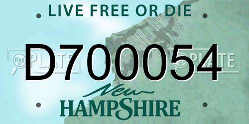 D700054 New Hampshire License Plate