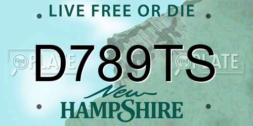 D789TS New Hampshire License Plate