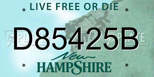 D85425B New Hampshire License Plate