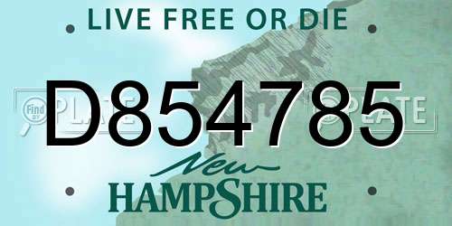 D854785 New Hampshire License Plate