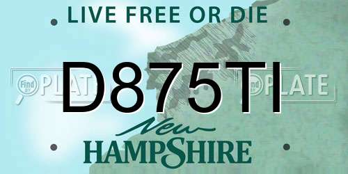 D875TI New Hampshire License Plate