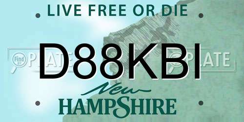 D88KBI New Hampshire License Plate