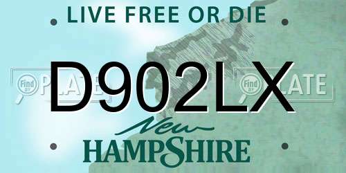 D902LX New Hampshire License Plate